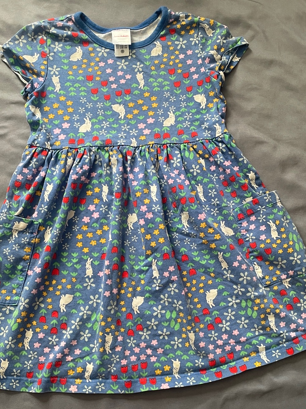 Hanna Andersson Blue Floral & Bunny Pocket Dress